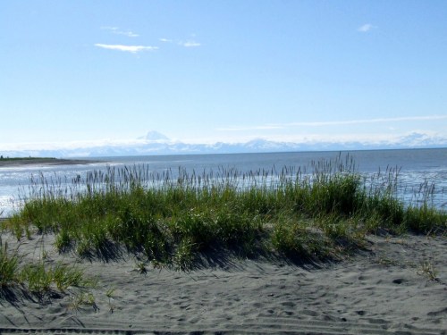 A serene beach scene with tall grass in the foreground and distant mountains under a clear blue sky.