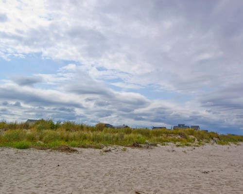 A sandy beach with tall grass and a cloudy sky in the background, featuring distant houses on the horizon.