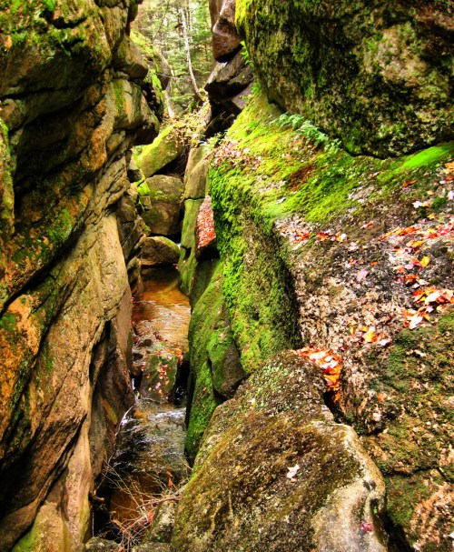 A narrow rocky canyon with moss-covered walls and a small stream running through it, surrounded by autumn leaves.