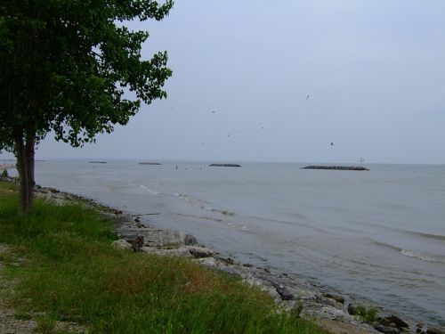 A cloudy shoreline with gentle waves, rocky beach, and distant breakwaters under a gray sky.
