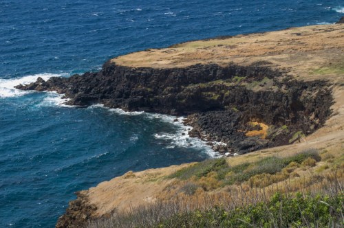 A rocky coastline meets the ocean, with grassy land and waves gently crashing against the shore.
