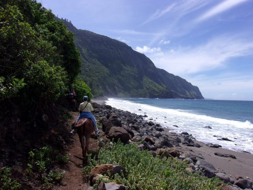 A person rides a horse along a rocky beach with lush green hills and waves crashing in the background.