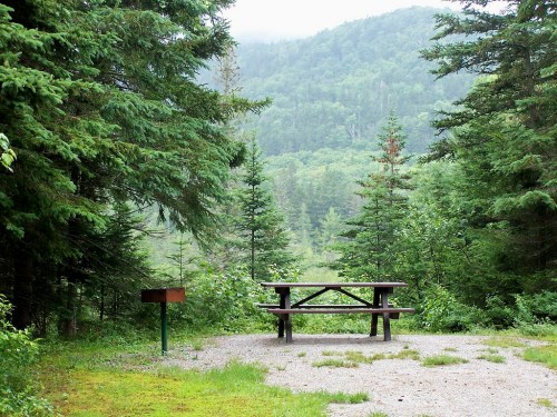 A picnic table surrounded by lush green trees and mountains in a misty forest setting.