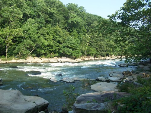 A serene river flows through a lush green landscape, surrounded by rocky banks and trees under a clear blue sky.