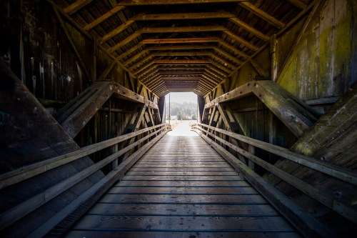 A wooden bridge leads through a covered structure, with light shining at the end, surrounded by greenery.