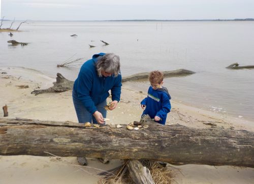 An adult and a child explore a beach, examining shells on a log by the water's edge.