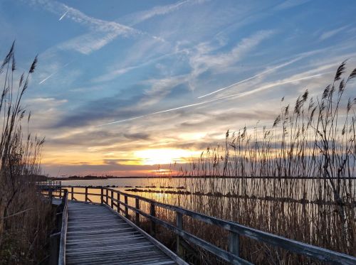 A wooden boardwalk leads to a serene sunset over a calm lake, framed by tall grasses and a colorful sky.