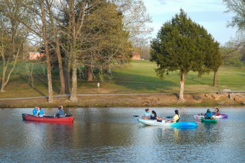 A group of people kayaking on a calm lake surrounded by trees and grassy areas.