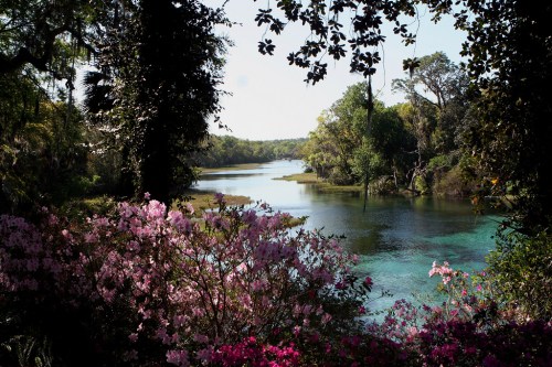 A serene river scene framed by vibrant pink flowers and lush greenery under a clear blue sky.