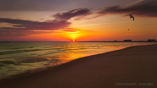 A serene beach at sunset, with vibrant colors reflecting on the water and a bird flying in the sky.