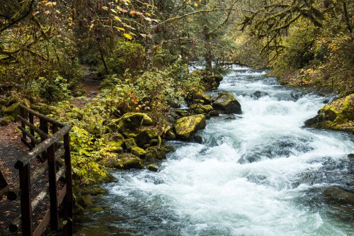 A rushing river flows through a lush, green forest, with moss-covered rocks and a wooden bridge nearby.