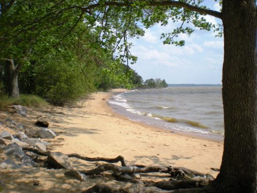 A sandy beach curves along a calm lake, framed by trees and rocky shorelines under a blue sky with fluffy clouds.