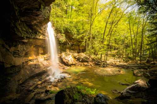 A serene waterfall cascades into a tranquil pool, surrounded by lush green trees and rocky terrain.