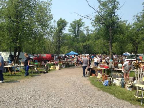 A bustling outdoor market with people browsing various stalls among trees and vehicles on a sunny day.