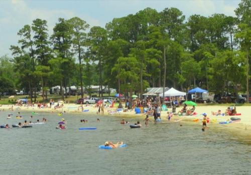 A busy beach scene with people swimming, sunbathing, and enjoying activities under trees and tents.