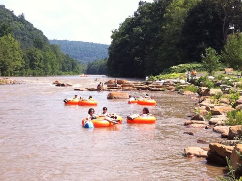 People floating on orange inner tubes in a river, surrounded by rocky banks and lush green trees.