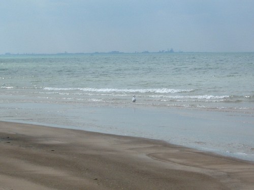 A serene beach scene with gentle waves lapping at the shore and a distant view of land under a cloudy sky.