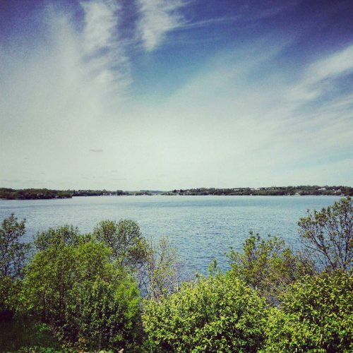 A serene view of a lake surrounded by greenery under a partly cloudy sky.