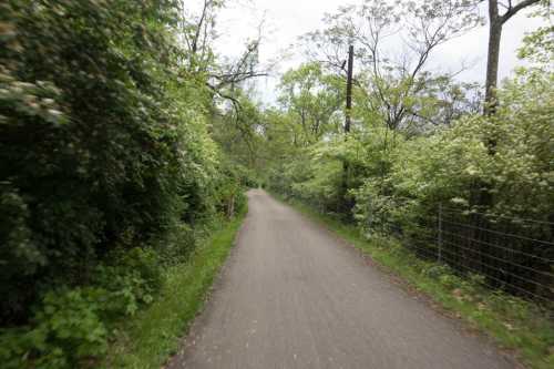 A winding gravel path surrounded by lush green trees and foliage on both sides.