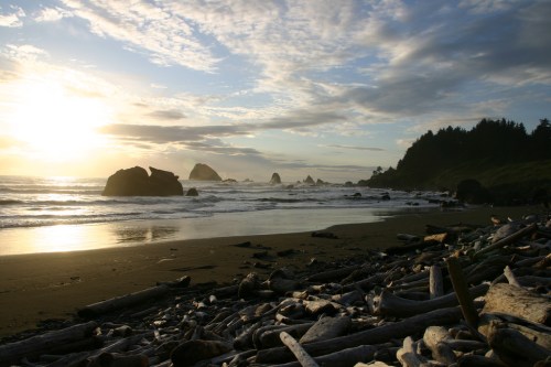 A serene beach at sunset, with driftwood scattered on the sand and rocky formations in the distance under a cloudy sky.