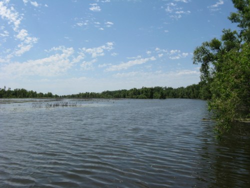 A serene river scene with calm water, lush greenery, and a blue sky dotted with clouds.