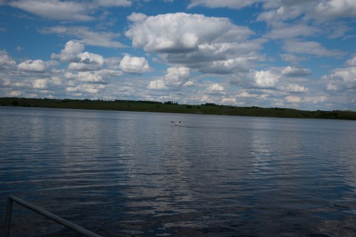 A serene lake under a blue sky filled with fluffy clouds, reflecting the landscape and water.