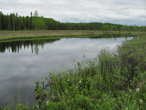 A serene landscape featuring a calm river reflecting the cloudy sky, surrounded by lush greenery and trees.
