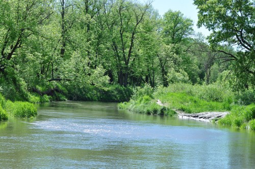 A serene river flows through a lush green landscape, surrounded by trees and vibrant foliage on a sunny day.