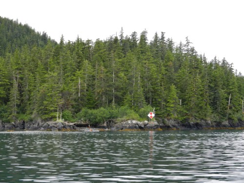 A serene coastal scene with dense green trees, rocky shore, and a red and white buoy in calm waters.