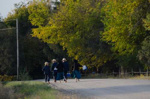 A group of children in traditional attire walking along a rural road, surrounded by trees in autumn colors.