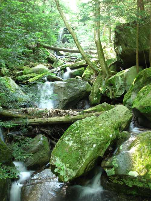 A serene forest scene with a cascading waterfall, moss-covered rocks, and lush greenery surrounding a flowing stream.