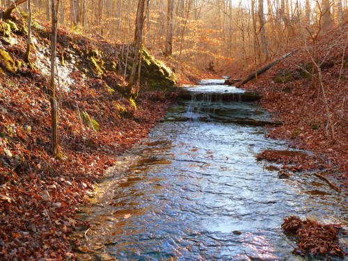 A serene stream flows through a forest, surrounded by autumn leaves and sunlit trees.
