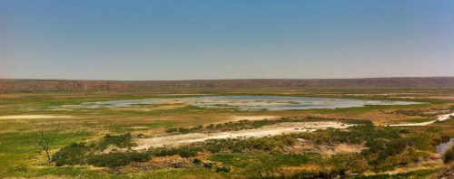 A vast landscape featuring a calm lake surrounded by green grass and sparse vegetation under a clear blue sky.