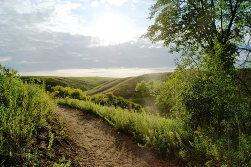 A sunlit path winds through lush greenery, leading to rolling hills under a partly cloudy sky.