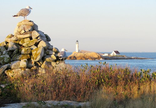 Two seagulls perched on a stone pile, overlooking a lighthouse and house on a distant island against a clear sky.