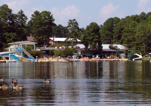 A serene lake scene with ducks in the foreground, surrounded by trees and a beach area with people enjoying the sun.