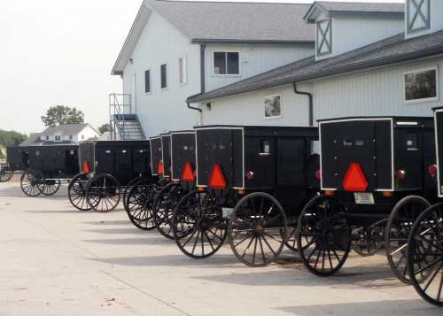 A row of black horse-drawn buggies parked outside a large building.