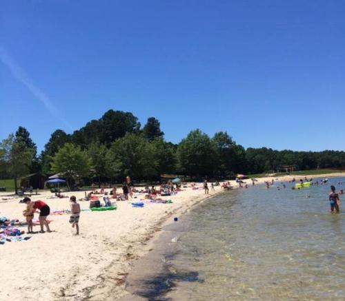 A sunny beach scene with people relaxing on the sand and swimming in the water, surrounded by trees.