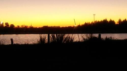 Silhouette of trees and a calm lake at sunset, with vibrant orange and yellow hues in the sky.