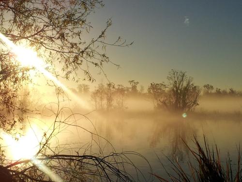 A serene landscape at sunrise, with mist rising over a calm lake and trees silhouetted against the golden light.