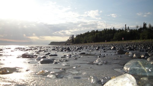 A rocky beach at low tide, with gentle waves and a cloudy sky in the background. Trees line the shore.