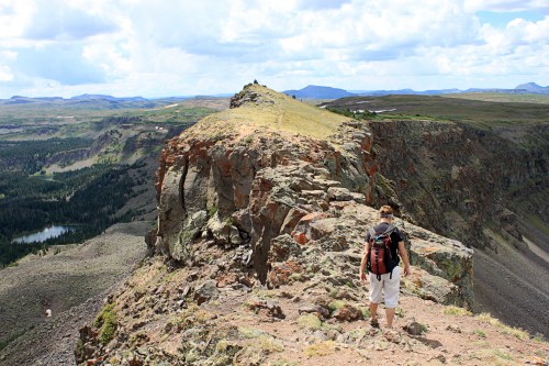 alt