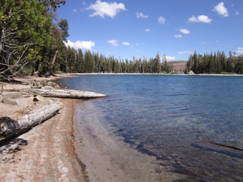 A serene lakeside view with clear water, sandy shore, and tall trees under a blue sky with fluffy clouds.