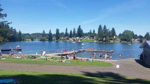 A sunny lakeside scene with people swimming and relaxing on the shore, surrounded by trees and boats.