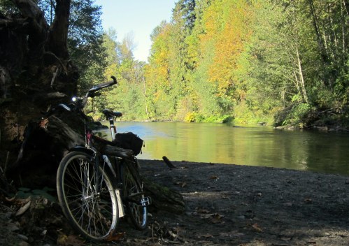 A bicycle rests by a serene riverbank surrounded by trees with autumn foliage.