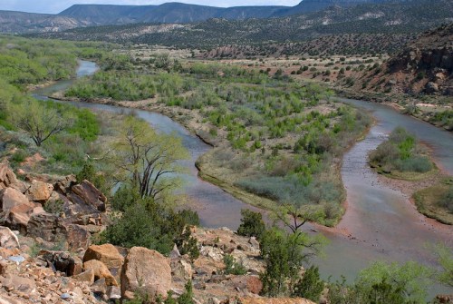 A scenic view of winding rivers surrounded by lush greenery and mountains in the background under a clear blue sky.