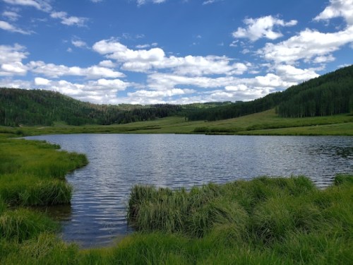 A serene landscape featuring a calm lake surrounded by lush green grass and rolling hills under a blue sky with clouds.