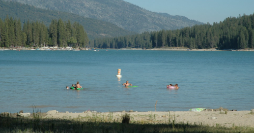 People swimming in a calm lake surrounded by trees and mountains on a sunny day.