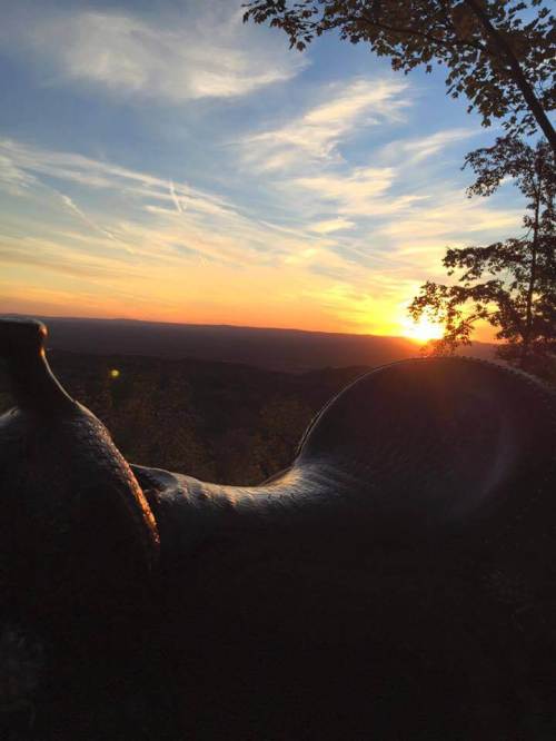 A scenic sunset view with a silhouette of a sculpture in the foreground, surrounded by trees and a colorful sky.