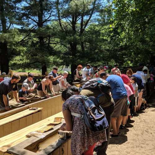 A group of people engaged in an outdoor activity, panning for gold at a wooden setup surrounded by trees.